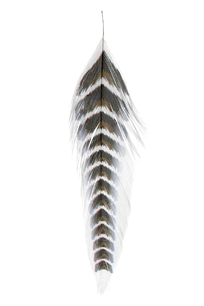 Galloup's Fish Feathers - Grizzled Brown/Black Saddle Hackle, Hen Hackle, Asst. Feathers