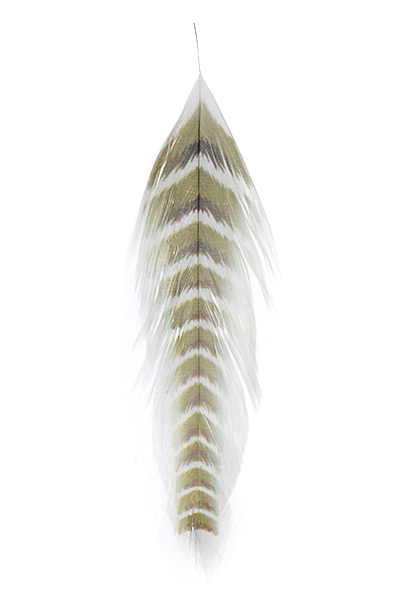 Galloup's Fish Feathers - Grizzled Olive/Brown Saddle Hackle, Hen Hackle, Asst. Feathers