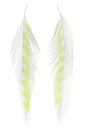 Galloup's Fish Feathers - Shark Fin White/Chartreuse Saddle Hackle, Hen Hackle, Asst. Feathers