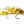 Galloup's Micro Dungeon Barred Yellow Flies