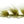 Galloup's Mini Peanut Envy (size 6) Olive Flies