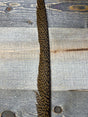 Golden Pheasant Tail Feather Pheasant Feathers