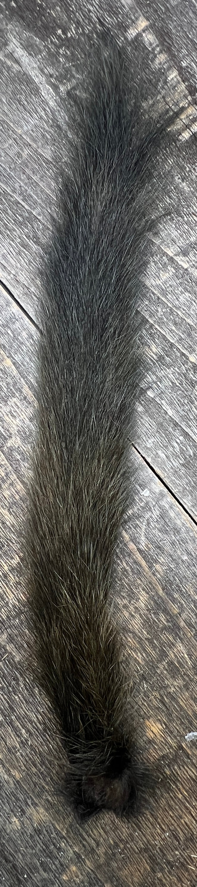 Grey Squirrel Tail Bleached Dyed Brown Hair, Fur