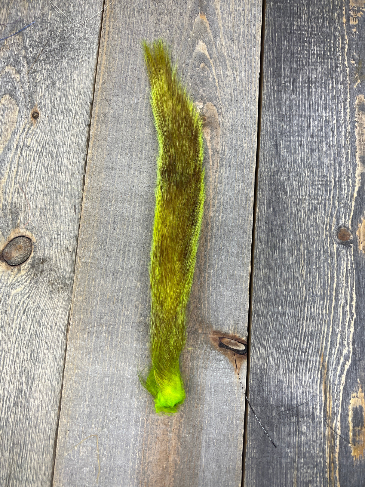 Grey Squirrel Tail Bleached Dyed Chartreuse Hair, Fur
