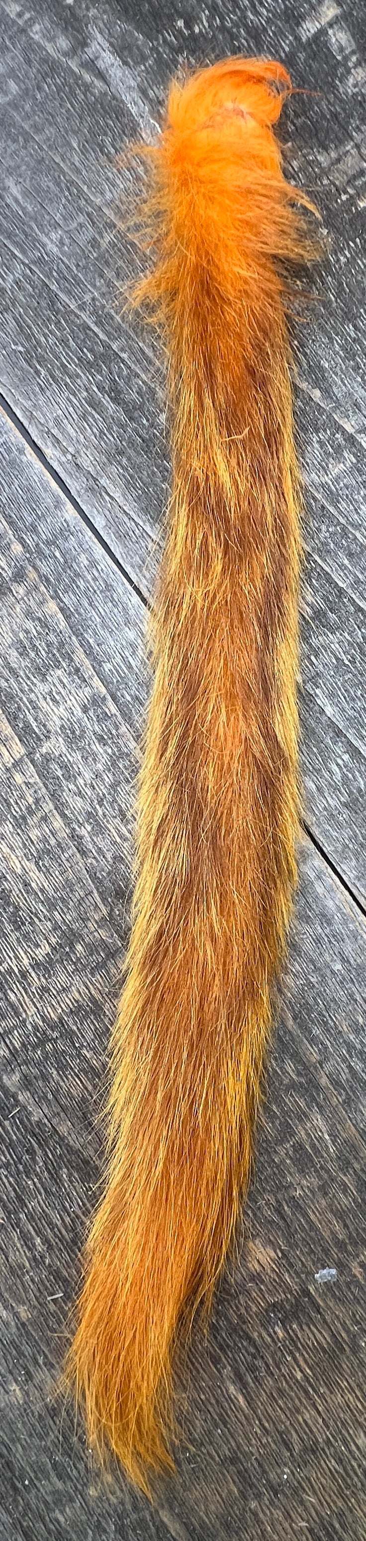 Grey Squirrel Tail Bleached Dyed Fl Orange Hair, Fur