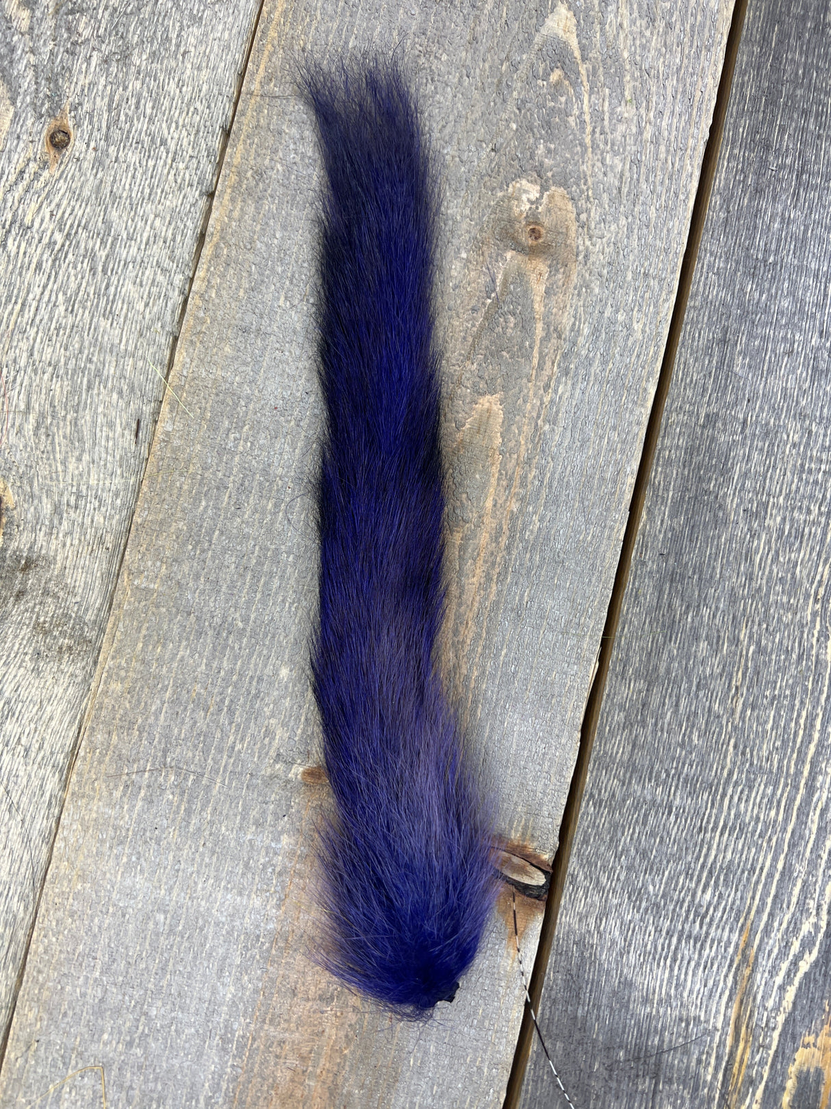 Grey Squirrel Tail Bleached Dyed Purple Hair, Fur