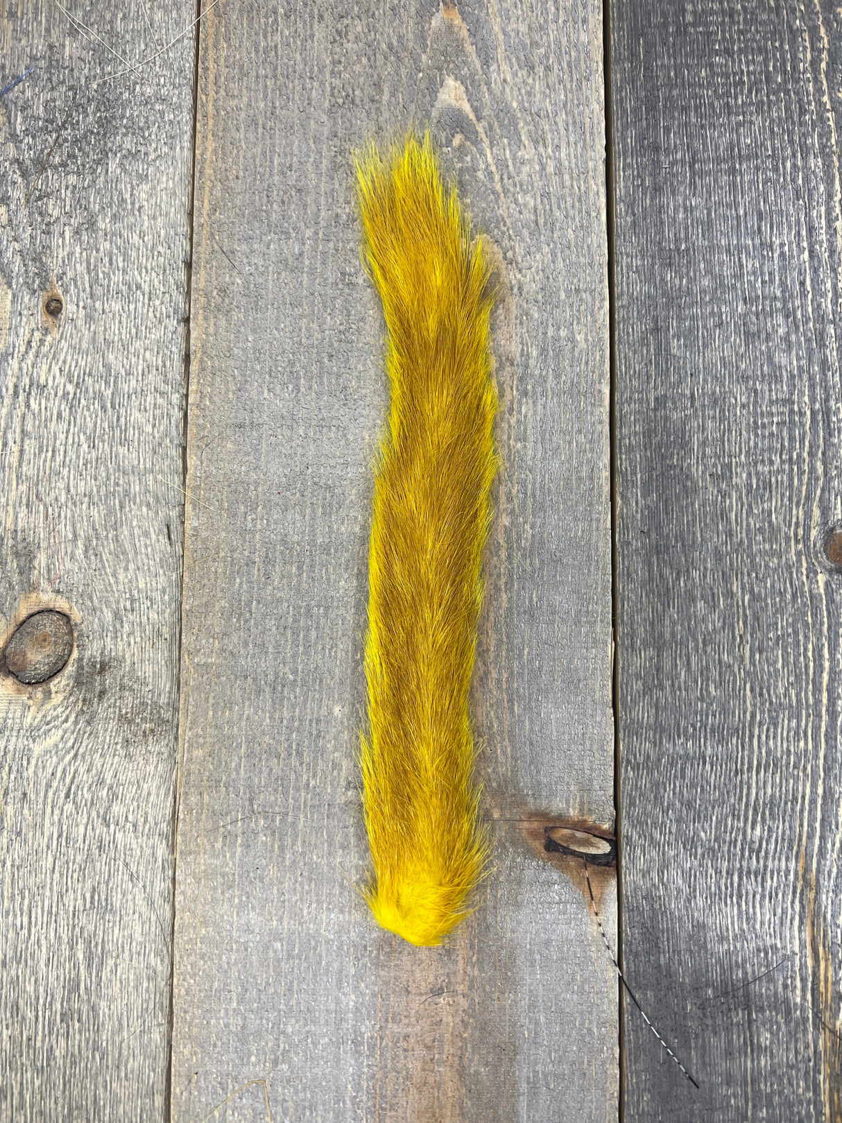 Grey Squirrel Tail Bleached Dyed Yellow Hair, Fur