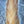 Grey Squirrel Tail Bleached Ginger Hair, Fur