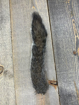 Grey Squirrel Tail Natural Hair, Fur