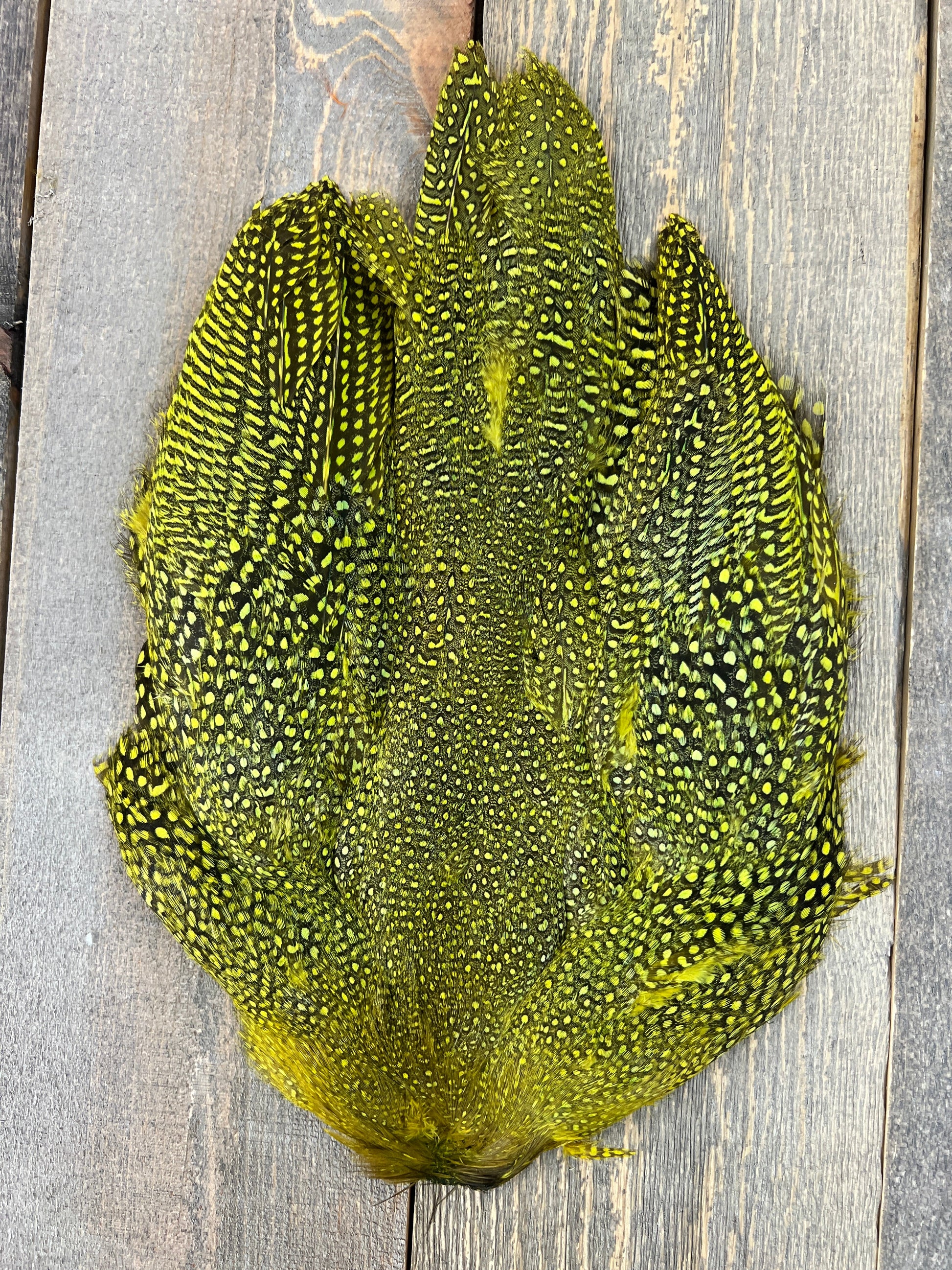 Guinea Fowl Skin Chartreuse Saddle Hackle, Hen Hackle, Asst. Feathers