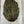 Guinea Fowl Skin Olive Saddle Hackle, Hen Hackle, Asst. Feathers
