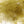 Hareline 1 Gram Pack Cul De Canard Olive #263 Saddle Hackle, Hen Hackle, Asst. Feathers