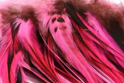 Hareline Badger Saddle Hackle 5-7" Hot Pink #188 Saddle Hackle, Hen Hackle, Asst. Feathers