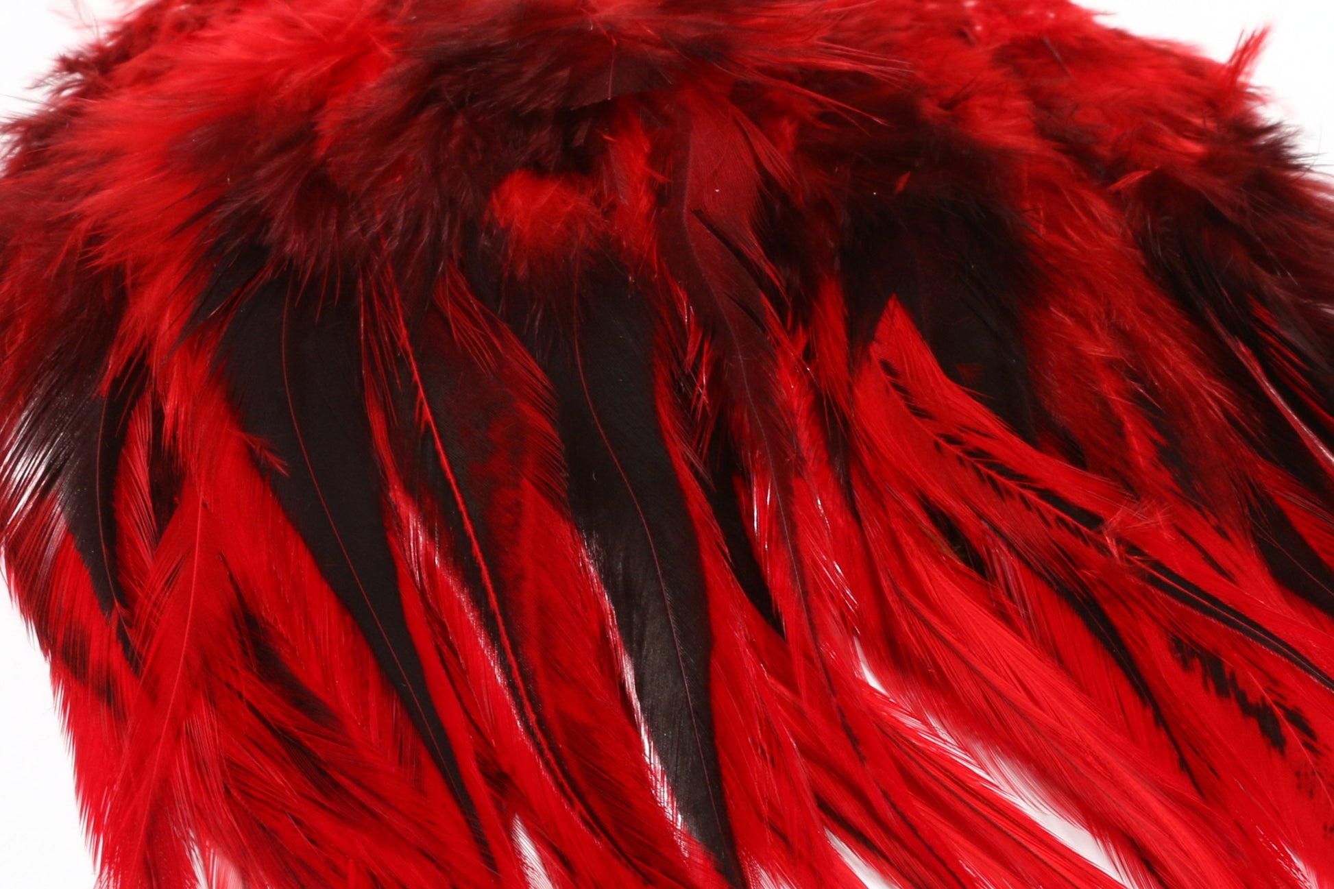 Hareline Badger Saddle Hackle 5-7" Red #310 Saddle Hackle, Hen Hackle, Asst. Feathers