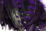 Hareline Barred Variant Schlappen 5-7" Purple #298 Saddle Hackle, Hen Hackle, Asst. Feathers