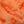 Hareline Easy Egg Chenille Early Roe #109