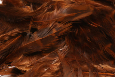 Hareline Hen Pheasant Body Soft Hackle Brown #40 Saddle Hackle, Hen Hackle, Asst. Feathers