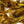 Hareline Hen Pheasant Body Soft Hackle Hex Gold #183 Saddle Hackle, Hen Hackle, Asst. Feathers
