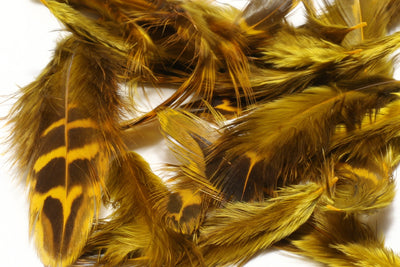 Hareline Hen Pheasant Body Soft Hackle Hex Gold #183 Saddle Hackle, Hen Hackle, Asst. Feathers