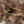 Hareline Hen Pheasant Body Soft Hackle Natural Brown #244 Saddle Hackle, Hen Hackle, Asst. Feathers