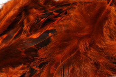 Hareline Hen Pheasant Body Soft Hackle Orange #271 Saddle Hackle, Hen Hackle, Asst. Feathers