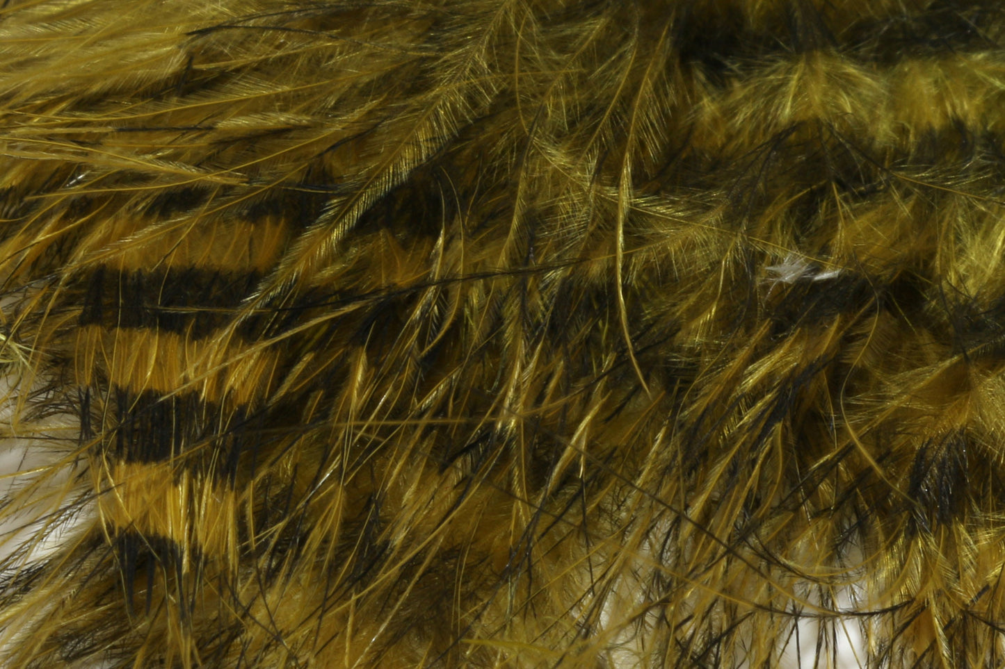 Hareline Jailhouse Marabou Olive Barred Black #263 Saddle Hackle, Hen Hackle, Asst. Feathers