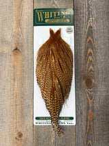 Hebert Pro Grade Cape Barred Dark Ginger Dry Fly Hackle