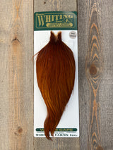 Hebert Pro Grade Cape Medium Brown Dry Fly Hackle