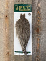 Hebert Pro Grade Cape Medium Gray Dun Dry Fly Hackle
