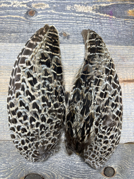Hen Pheasant Wing Pair Pheasant Feathers