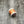 Hends Pearlescent Body Quill Orange 02 Wires, Tinsels