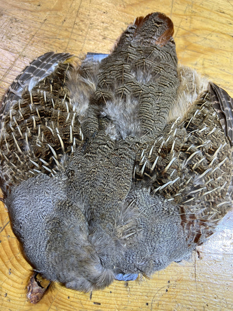 Hungarian Partridge Skin Complete Select Partridge Feathers