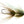 Jeremiah's Little Invader Tube Fly Olive Trout Flies