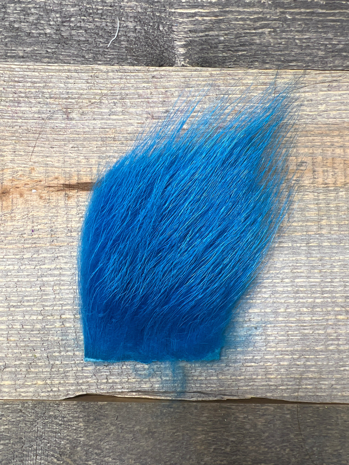 Kid Goat Fl. Blue Misc. Hair & Fur