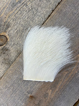 Kid Goat White Hair, Fur