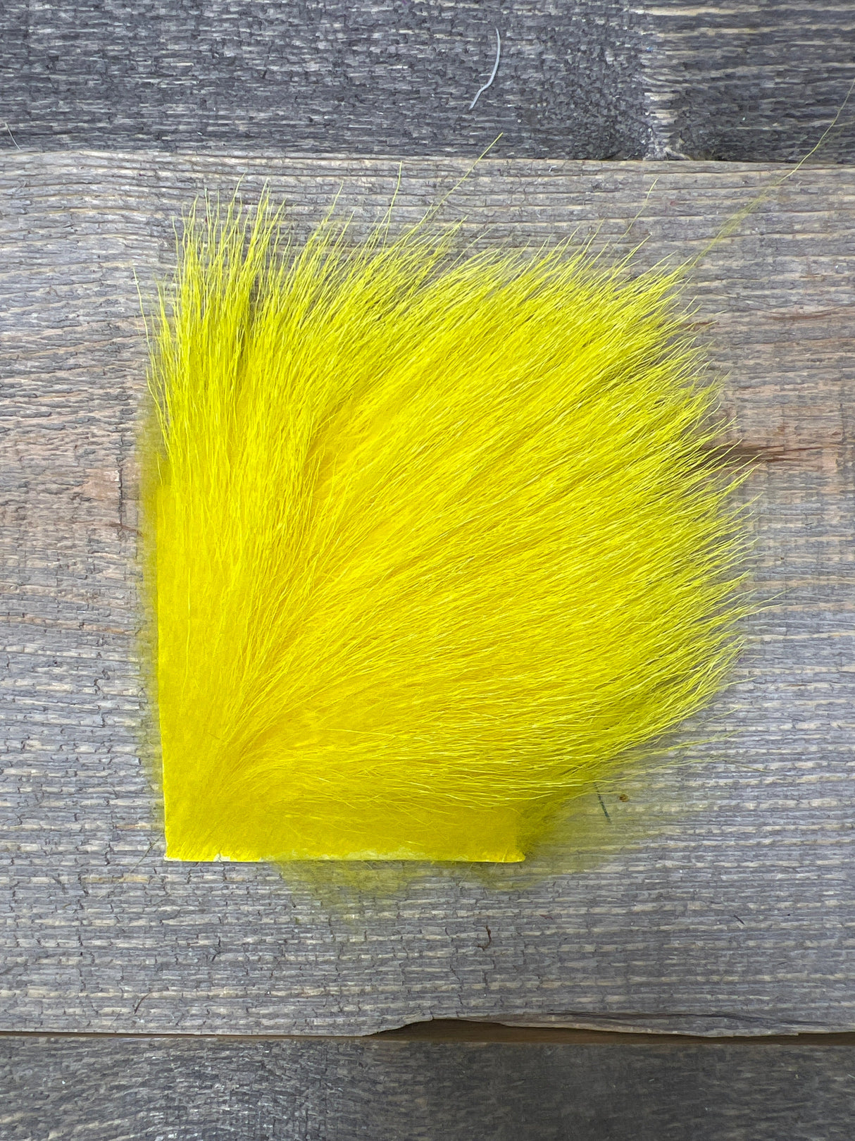 Kid Goat Yellow Misc. Hair & Fur
