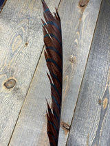 Lady Amherst Center Tail Halfs Brown Pheasant Feathers