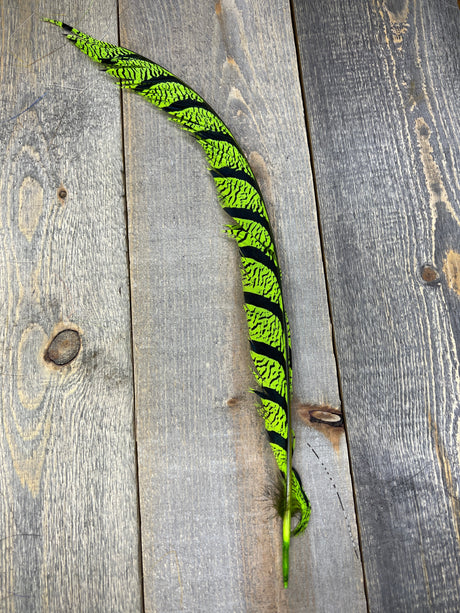 Lady Amherst Center Tail Halfs Chartreuse Pheasant Feathers