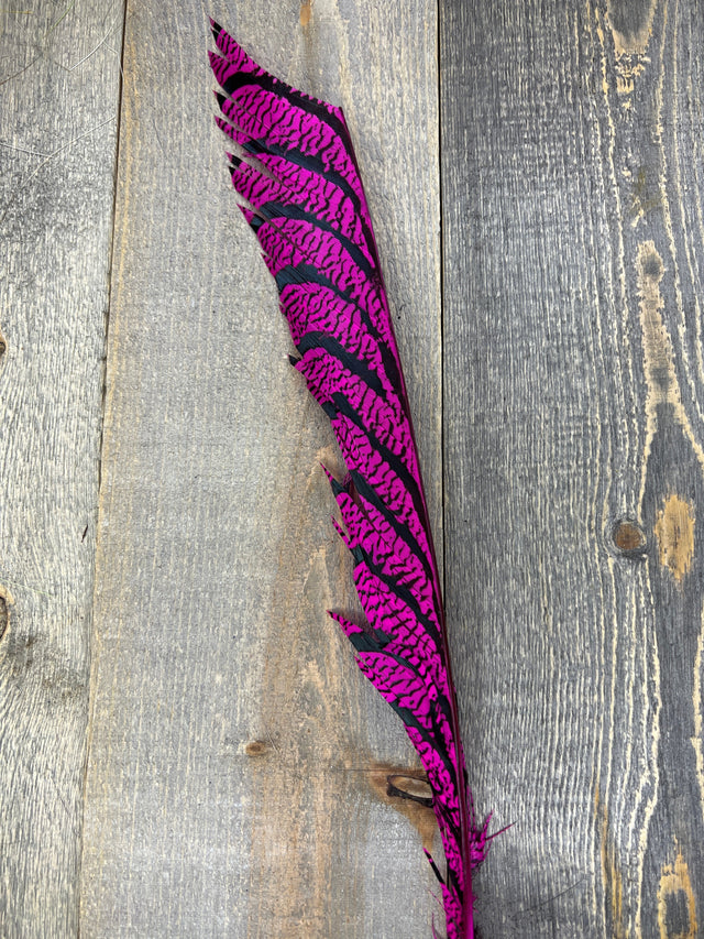 Lady Amherst Center Tail Halfs Fl Pink Pheasant Feathers