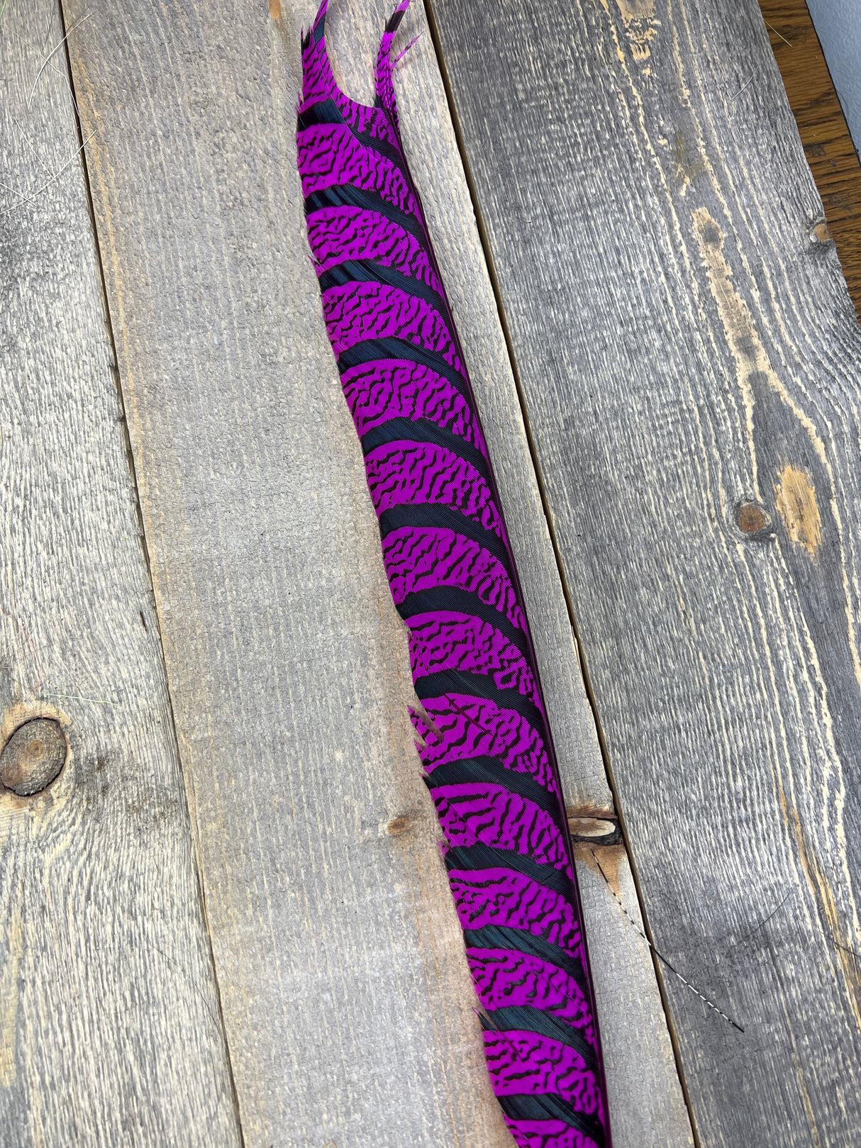 Lady Amherst Center Tail Halfs Fuschia Pheasant Feathers