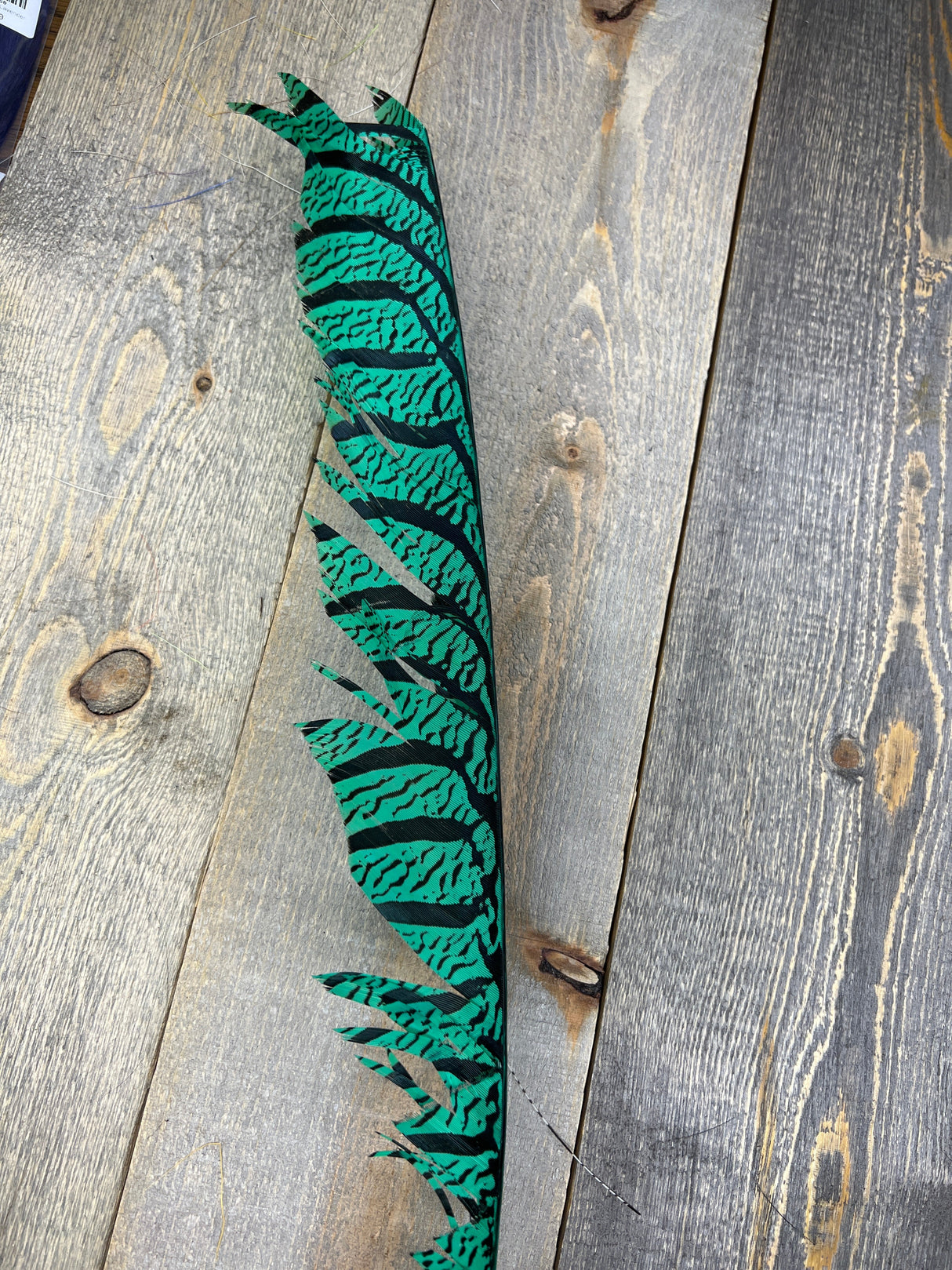 Lady Amherst Center Tail Halfs Green Pheasant Feathers