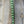 Lady Amherst Center Tail Halfs Mint Pheasant Feathers