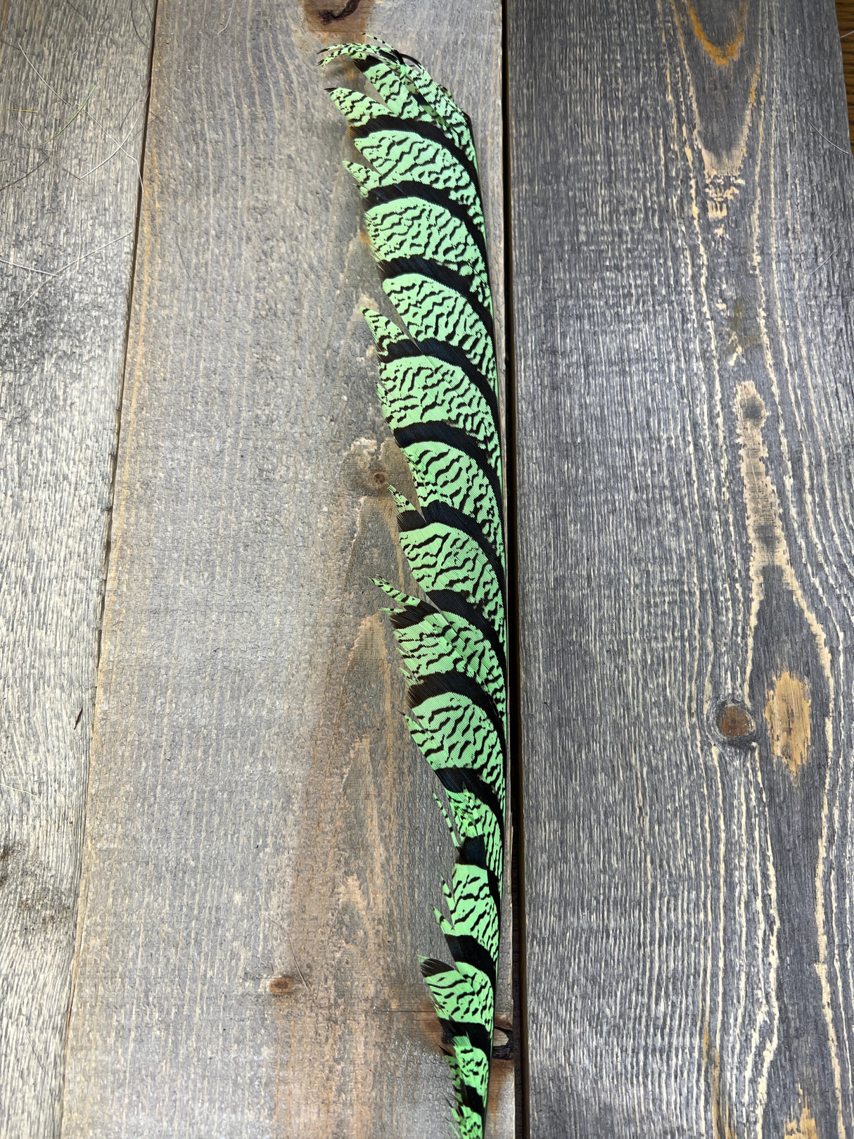 Lady Amherst Center Tail Halfs Mint Pheasant Feathers