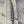 Lady Amherst Center Tail Halfs Natural Pheasant Feathers