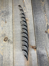 Lady Amherst Center Tail Halfs Natural Pheasant Feathers