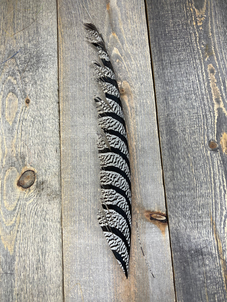Lady Amherst Center Tail Halfs Natural Pheasant Feathers