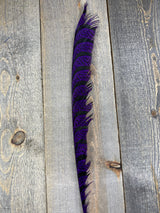 Lady Amherst Center Tail Halfs Purple Pheasant Feathers