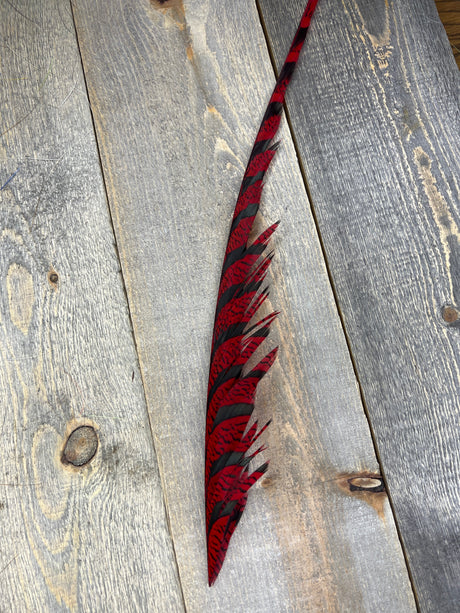 Lady Amherst Center Tail Halfs Red Pheasant Feathers