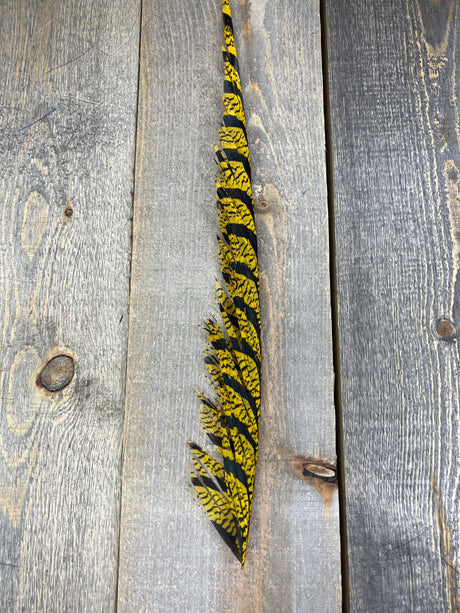 Lady Amherst Center Tail Halfs Yellow Pheasant Feathers