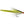 Lefty's Predator Deceiver Tropical / 1/0 Flies